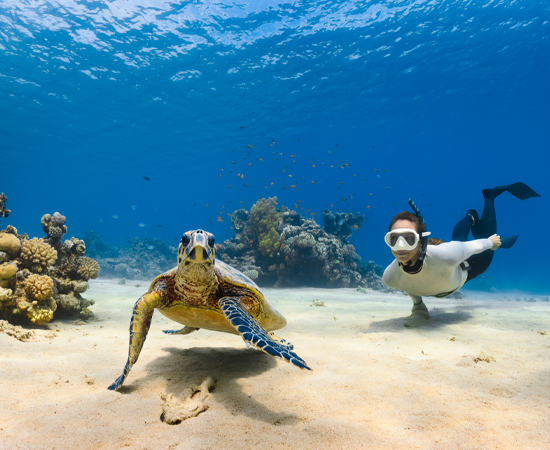 Snorkeling in Mirissa